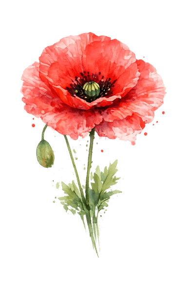 Rote Mohnblüte
